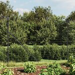 vidaXL Clôture en treillis métallique anthracite 1 6x25 m