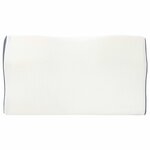vidaXL Oreiller avec oreiller Blanc 60 x 34 x 11 cm Polyester