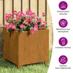 vidaXL Jardinière avec pieds Rouillé 32x30x33 cm Acier corten