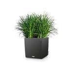 LECHUZA Jardinière CUBE Cottage 40 ALL-IN-ONE Granite