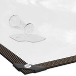 vidaXL Couverture pour plantes Transparent 4 x 4 m PE