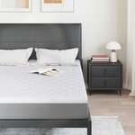 vidaXL Surmatelas en Coco Blanc 160 x 200 cm Tissu jacquard