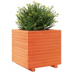 vidaXL Jardinière cire marron 50x50x49 5 cm bois de pin massif