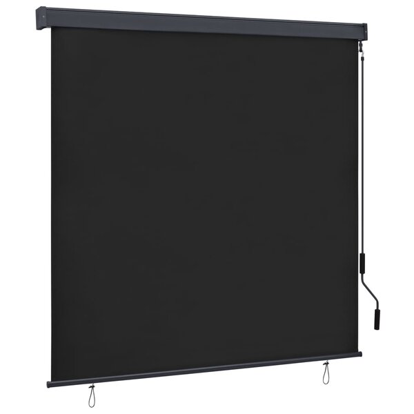 vidaXL Store roulant d'extérieur 170 x 250 cm Anthracite
