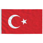 vidaXL Drapeau de la Turquie et mât 5 55 m Aluminium