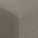 vidaXL Canapé-lit pliable Gris clair 200 x 70 x 15 cm Velours