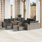 Set de Canapés de Jardin en 13 Pièces avec Coussins Gris Poly Rattan Acacia