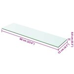 vidaXL Panneau pour étagère Verre transparent 60 x 12 cm