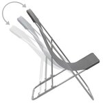 vidaXL Chaises de plage pliables lot de 2 Acier et tissu oxford Gris