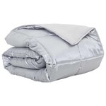 vidaXL Duvet d'été simple Argenté 200 x 155 cm Satin et Microfibre