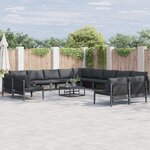 vidaXL Ensemble de canapé de jardin 13 Pièces Anthracite Acier