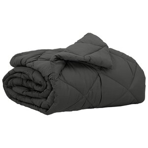 vidaXL Duvet d'été simple Anthracite 200 x 155 cm Microfibre