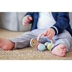 Hape E8516B - Tortue turbo à rouler