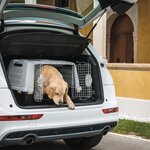 Stefanplast Cage pour animaux Gulliver Touring 80x58x62 cm Gris 81340