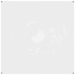 vidaXL Couverture pour plantes Transparent 2 x 2 m PVC
