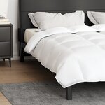 vidaXL Couettes & Duvets Blanc 200 x 200 cm Bas