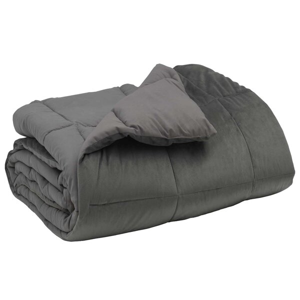 vidaXL Duvet d'hiver 200 x 200 cm Hiver Microfibre (100  polyester)