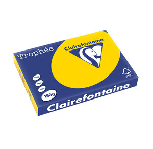 Ramette 250 Feuilles Papier 160g A3 420x297 mm OR TROPHÉE
