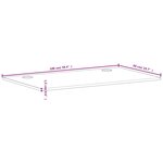 vidaXL Dessus de bureau 100x50x1 5 cm bois massif de hêtre