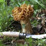 2 couteau à champignon Opinel 8 cm