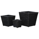 vidaXL Lits surélevés 3 Pièces Jacinthe d'eau Noir