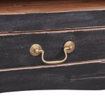 vidaXL Meuble TV 120x30x40 cm noir bois d'acajou massif