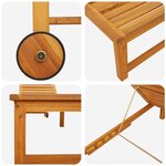 vidaXL Transat 2 Pièces Marron 53 x 202 x 89cm Bois d'acacia massif