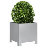 vidaXL Jardinières 2 Pièces 30x30x30 cm acier galvanisé