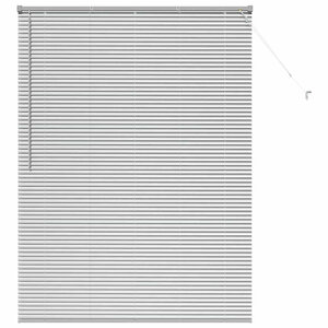 vidaXL Store de Fenêtre avec des rideaux Argent Aluminium