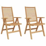 vidaXL Chaises de jardin 2 Pièces Marron 52 x 64 5 x 108 cm