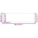 vidaXL Auvent latéral rétractable de patio 200x600 cm Noir