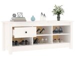 vidaXL Armoire à chaussures Blanc 110x38x45 5 cm Bois de pin massif
