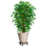 vidaXL Chariots à plantes avec roues 2 Pièces Diamètre 40 cm Noir 275 kg