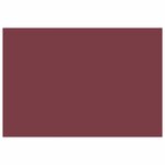 vidaXL Toile de rechange pour auvent Rouge bordeaux 500 × 350 cm