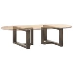 vidaXL Pieds de table basse en T  2 pièces  noir  70 x 25 x (30-31) cm  acier