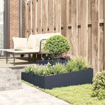 vidaXL Cache-pot de jardin Anthracite 100 x 100 x 50 cm