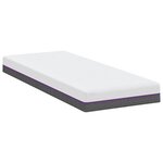 vidaXL Matelas Blanc et Gris 80 x 200 cm Mousse à Mémoire