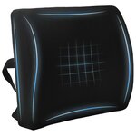 vidaXL Coussin de Dos avec oreiller Noir 35 5 x 30 x 12 cm Avec filet
