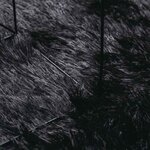 vidaXL Tapis shaggy à poils longs NAVARRA noir 120x170 cm polyester