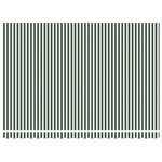 vidaXL Auvent rétractable électrique Vert et blanc 5 x 3 m