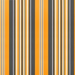 vidaXL Tissu de remplacement pour auvent rayures multicolores 5x3 5 m