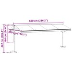 vidaXL Auvent autoportant 6 x 3 m Polyester Gris