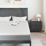 vidaXL Coussins de Matelas Blanc 160 x 200 cm