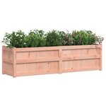 vidaXL Jardinière 180x50x50 cm bois massif de douglas