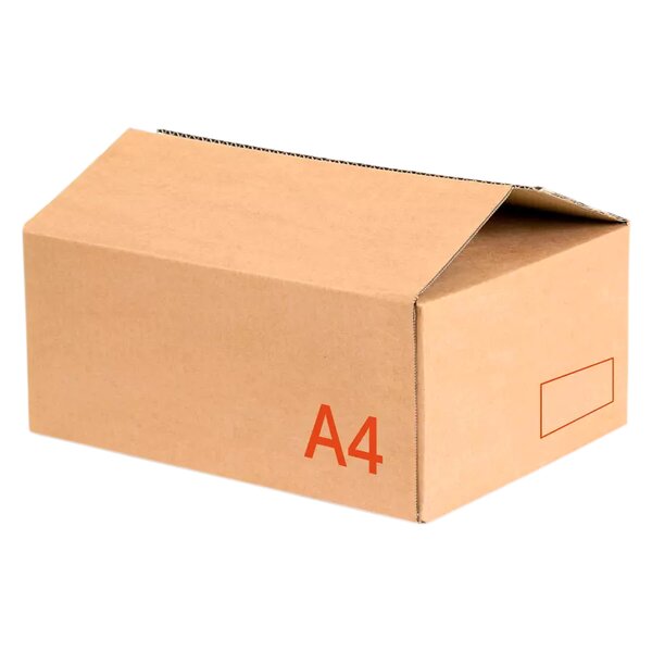 Caisses norme automobile – Lot de 50 carton brun 50x120x30 cm