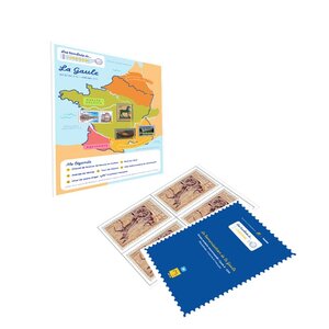 Ouvrage scolaire - Les timbrés de... L'Histoire - La Romanisation de la Gaule