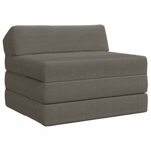 vidaXL Canapé-lit pliable Gris clair 200 x 70 x 10 cm