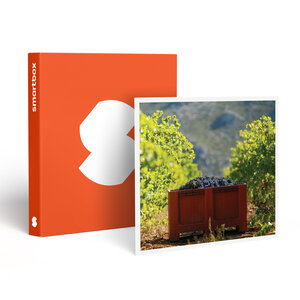 SMARTBOX - Coffret Cadeau Atelier Initiation et Dégustation Vin Biologique dans un domaine viticole - Gastronomie