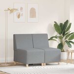 vidaXL Unité de Sofa Modulaire Sans Accoudoirs 2 Pièces Gris clair