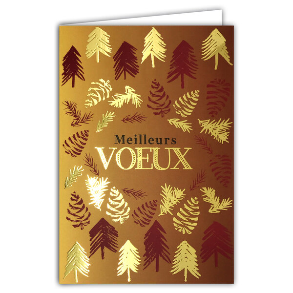 Carte Meilleurs Vœux Bonne Année + Enveloppe 12x17cm